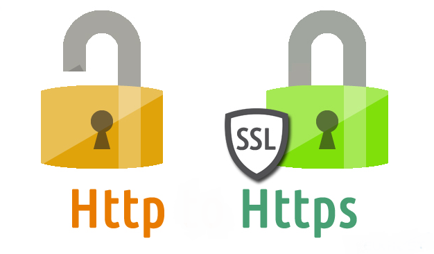 SSL Certificates